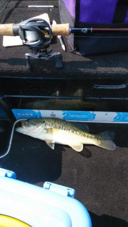 アフタースポーン