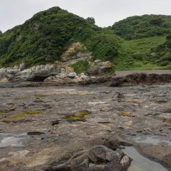 粘った末……春アオリゲット!!