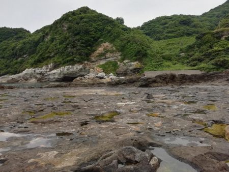 粘った末……春アオリゲット!!