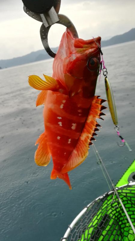 カヤックフィッシングで爆釣!