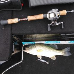 アフタースポーン