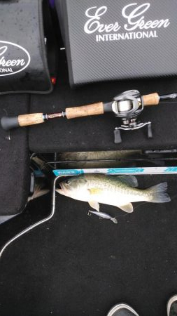 アフタースポーン