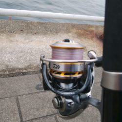 最近人気のツバス釣り