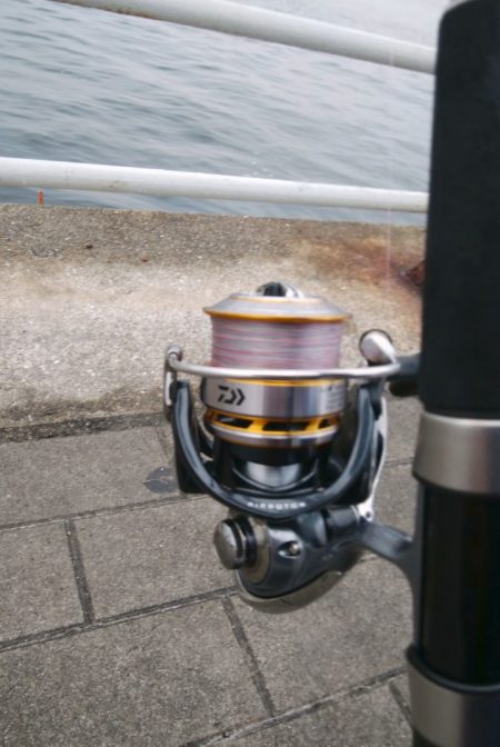 最近人気のツバス釣り