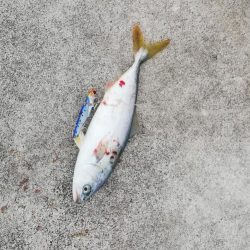 サイズダウンしてる！