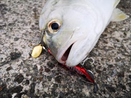 3度目の正直もあり