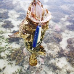 1日頑張りました。