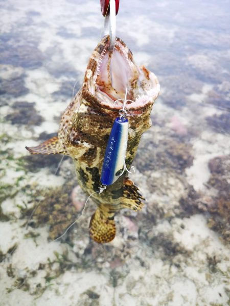 1日頑張りました。