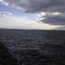 ジグサビキin 貝塚人工島