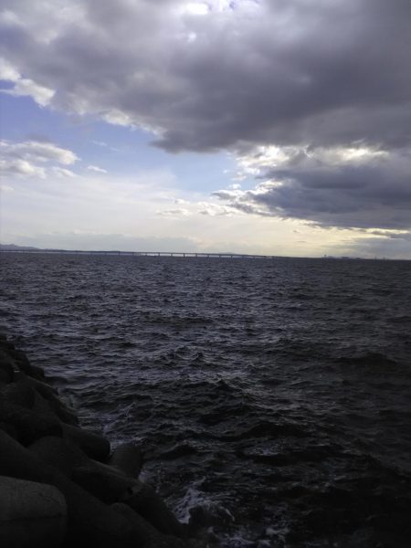 ジグサビキin 貝塚人工島