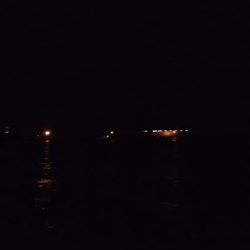 よく釣れました