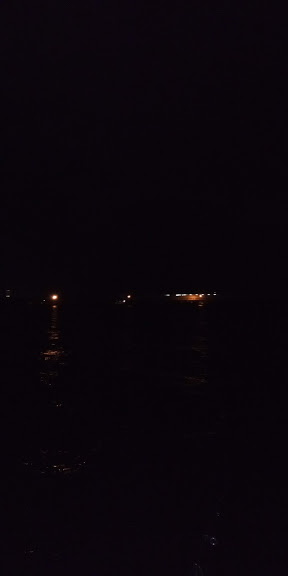 よく釣れました