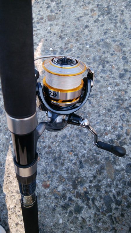 今日は泉大津エリア釣行