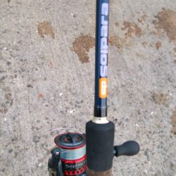 今日も泉大津で釣行