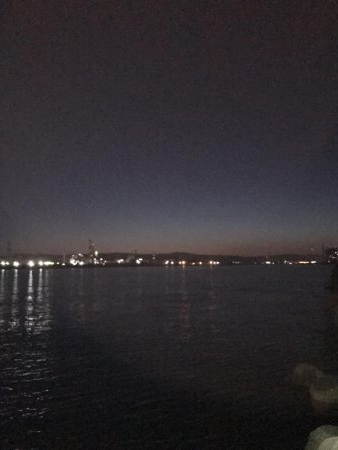 まずまず楽しめる