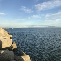 一匹だけで残念