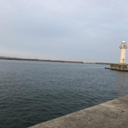 サイズが伸びない