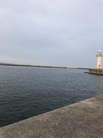 サイズが伸びない