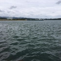 コアジ、豆アジ89匹 コサバ35匹