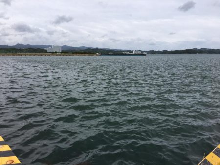 コアジ、豆アジ89匹 コサバ35匹