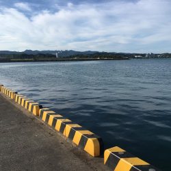 豆アジ、コアジ68匹、 コサバ8匹