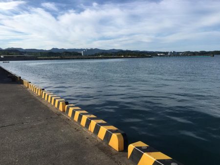 豆アジ、コアジ68匹、 コサバ8匹