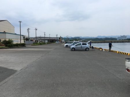 アジ46匹、ガシラ9匹、コサバ4匹