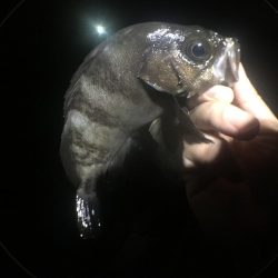 いよいよ最終ラウンド突入ですね。