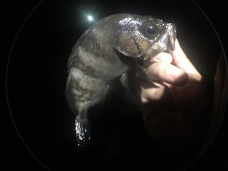 いよいよ最終ラウンド突入ですね。