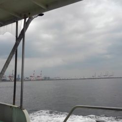 ぶりを求めて‼️