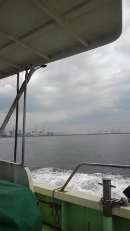 ぶりを求めて‼️