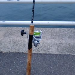 鯵狙いで行ったのですが^^;