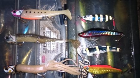 雨風が強い予報だったので太刀魚釣りに変更