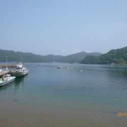 レンタル手漕ぎボートでのキス釣り