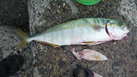 やっと３０ｃｍ超え＾＾；