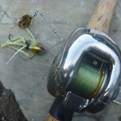 濁りが強い状況