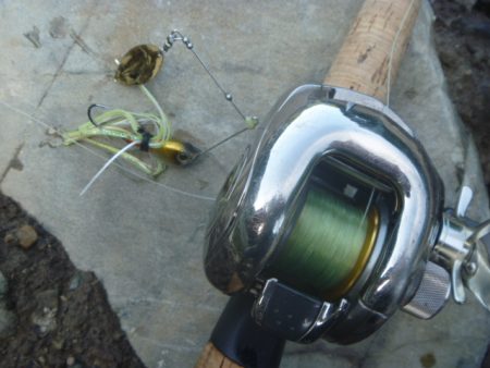 濁りが強い状況