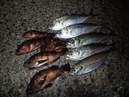 最後の1投が数投続く・・・（笑）