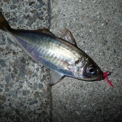 移動して良かった(^^)