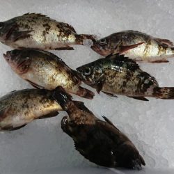 マルチヒット！！