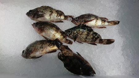 マルチヒット！！