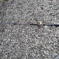 また、凧が釣れました!!