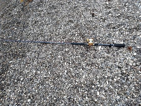 また、凧が釣れました!!