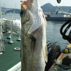 【関門海峡】シーバス調査