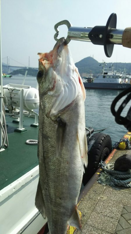 【関門海峡】シーバス調査