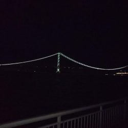 ライトゲーム、?