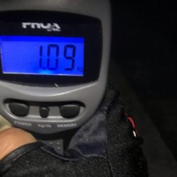 キロアップ春イカまだまだいけそうです