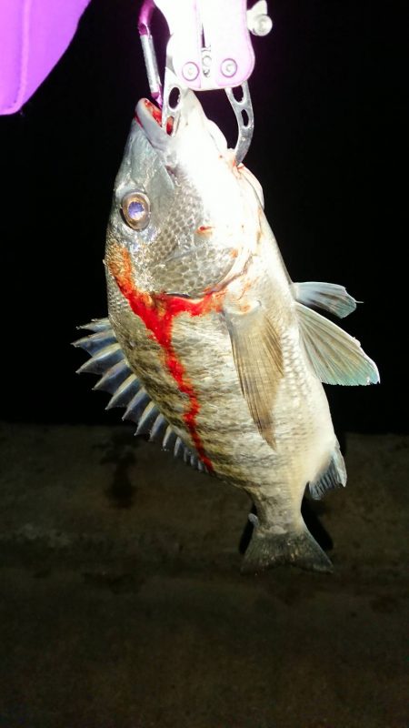 何か釣れるといいなぁって感じで4種目