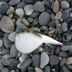 七里御浜ライトショアジギング