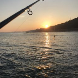 波ちょい高、渋め